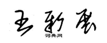 朱錫榮王新展草書個性簽名怎么寫