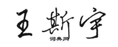 駱恆光王斯宇行書個性簽名怎么寫