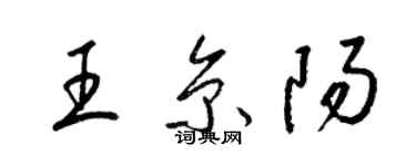 梁錦英王京陽草書個性簽名怎么寫