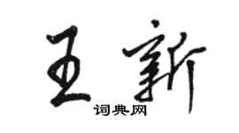 駱恆光王新行書個性簽名怎么寫