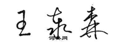 駱恆光王泰森草書個性簽名怎么寫