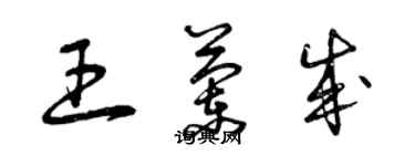 曾慶福王蘭成草書個性簽名怎么寫