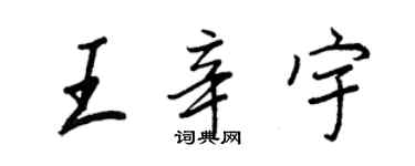 王正良王辛宇行書個性簽名怎么寫