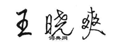 駱恆光王曉爽行書個性簽名怎么寫