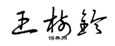 曾慶福王樹鈴草書個性簽名怎么寫