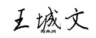 王正良王城文行書個性簽名怎么寫