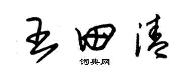 朱錫榮王田清草書個性簽名怎么寫