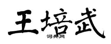 翁闓運王培武楷書個性簽名怎么寫