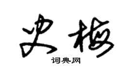 朱錫榮史梅草書個性簽名怎么寫