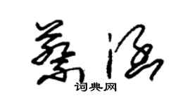 朱錫榮蔡涵草書個性簽名怎么寫