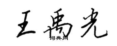 王正良王禹光行書個性簽名怎么寫