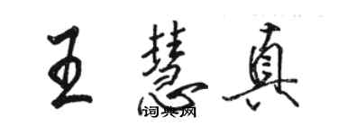 駱恆光王慧真行書個性簽名怎么寫