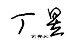 朱錫榮丁昱草書個性簽名怎么寫