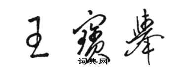 駱恆光王寶舉草書個性簽名怎么寫