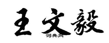 胡問遂王文毅行書個性簽名怎么寫