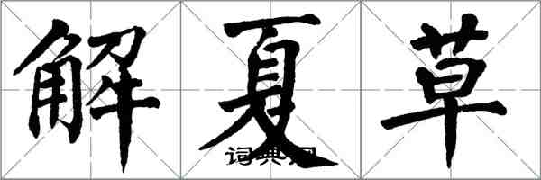 翁闓運解夏草楷書怎么寫