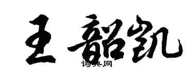 胡問遂王韶凱行書個性簽名怎么寫