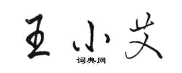 駱恆光王小艾行書個性簽名怎么寫