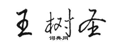 駱恆光王樹聖行書個性簽名怎么寫