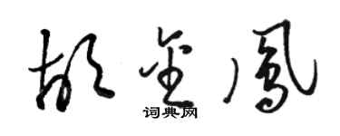 駱恆光胡金鳳草書個性簽名怎么寫