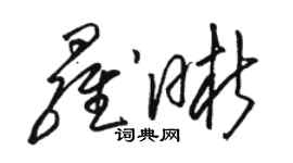 駱恆光羅晰草書個性簽名怎么寫