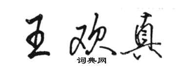 駱恆光王歡真行書個性簽名怎么寫