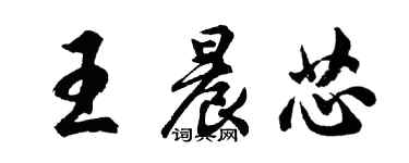 胡問遂王晨芯行書個性簽名怎么寫