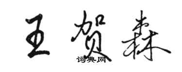 駱恆光王賀森行書個性簽名怎么寫