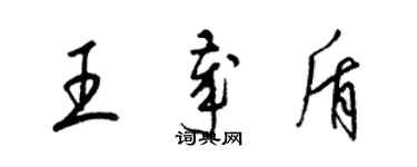 梁錦英王歲盾草書個性簽名怎么寫