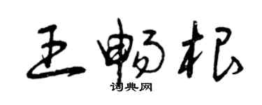 曾慶福王暢根草書個性簽名怎么寫