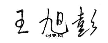 駱恆光王旭彭草書個性簽名怎么寫