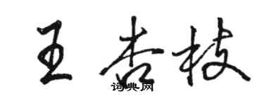 駱恆光王杏枝行書個性簽名怎么寫