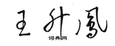 駱恆光王升鳳草書個性簽名怎么寫