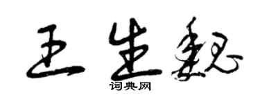 曾慶福王生魏草書個性簽名怎么寫