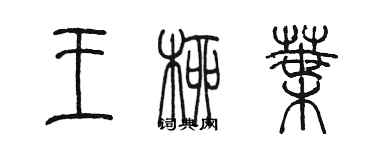 陳墨王柳葉篆書個性簽名怎么寫