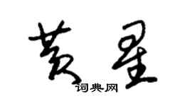 朱錫榮黃星草書個性簽名怎么寫