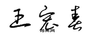 曾慶福王宏春草書個性簽名怎么寫