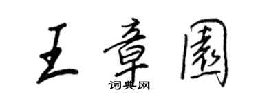 王正良王章園行書個性簽名怎么寫