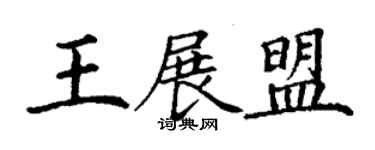 丁謙王展盟楷書個性簽名怎么寫