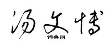 梁錦英湯文博草書個性簽名怎么寫