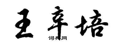 胡問遂王辛培行書個性簽名怎么寫