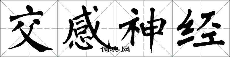 翁闓運交感神經楷書怎么寫