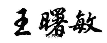胡問遂王曙敏行書個性簽名怎么寫