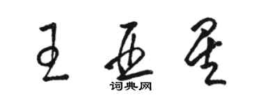 駱恆光王亞星草書個性簽名怎么寫