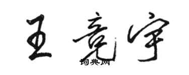 駱恆光王競宇行書個性簽名怎么寫
