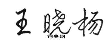 駱恆光王曉楊行書個性簽名怎么寫