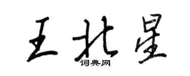 王正良王北星行書個性簽名怎么寫
