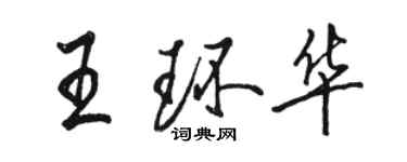 駱恆光王環華行書個性簽名怎么寫