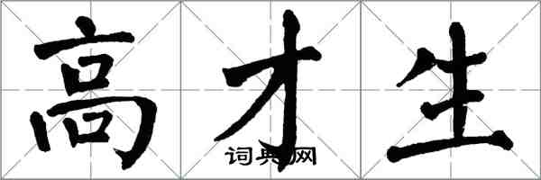 翁闓運高才生楷書怎么寫