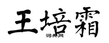 翁闓運王培霜楷書個性簽名怎么寫